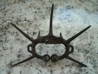 Antique Cast Iron Calf Spiked Weaning Nose Ring