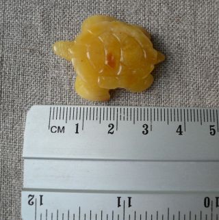 2,  70gr Lovely Butterscotch Real Baltic Amber Turtle