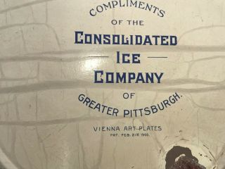 c.  1905 Vienna Art Plate Tin Consolidated Ice Co.  Advertising Sign w/ Woman Image 6