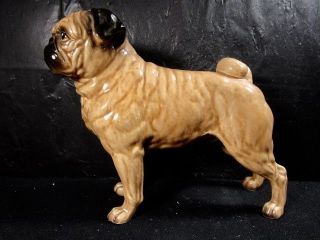 Tsc Porcelain Pug Dog 163 Figurine,  Made In Japan,  Absolutely