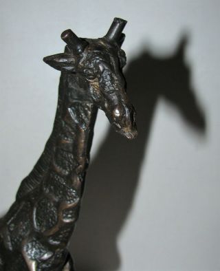 Very Detailed Cast Bronze Brass African Giraffe Sculpture Figure 6