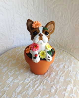 Brown Boston Terrier In The Flower Pot Sculpture Clay By Raquel Thewrc Ooak