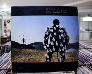 Pink Floyd / Delicate Sound Of Thunder.  2 × Vinyl,  Lp,  Album.