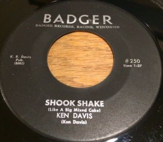 Killer Rare Rockabilly 45 - Ken Davis Shook Shake On Badger Racine Wisconsin