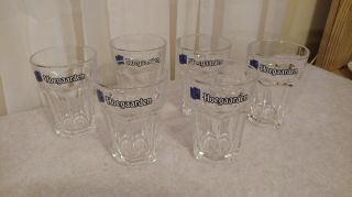 Hoegaarden Set Of 6 Belgian Witbier Hd Tumbler 0.  25l Beer Glass Made In Belgium