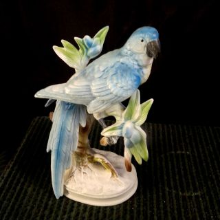 Vintage Ceramic Parrot Figurine Life - Like Blue Conure Species 7.  5 " Tall