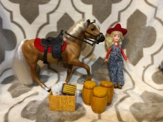 Grand Champion Horse Gold Dust Play Set