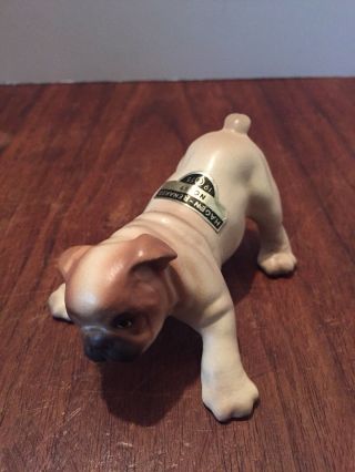 Vtg Collectible Porcelain 1955hager - Renaker Nobby English Bulldog Puppy Figurine