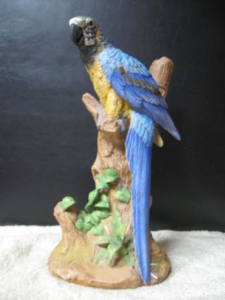1980 Porcelain Series Ezra Brooks Macaw Parrot Decanter Bottle