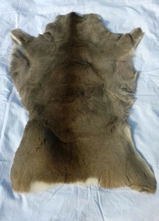 Great Roe Deer Skin Hide Rug Silver Fur Pelt Soft Medical Healing Warm Cushion
