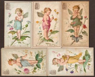 Liebig S - 52 Ed.  1 " Flower Oracle " Full Set Of 5 Vintage Trade Cards 1873 French