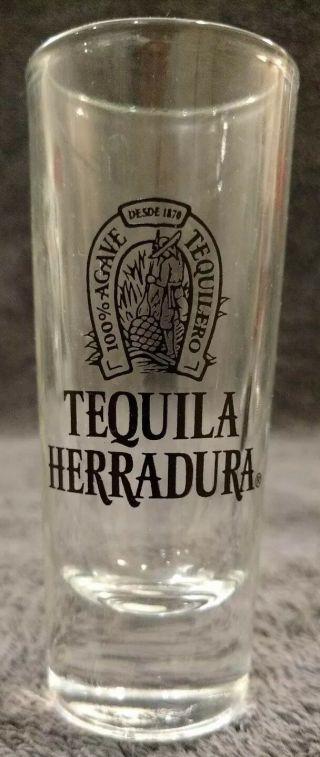 Rare Design Herradura Natural Tequila Shot Glass Tall Narrow Double Shooter