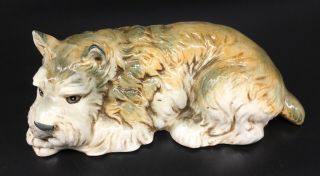 Dog Schnauzer Shafford Fine Porcelain Figurine “the Lovables Series” 8” X 4”