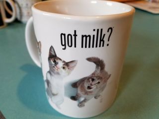 Vtg 1999 Got Milk? Thirsty Kitten Cats Coffee Tea Mug California Milk Processor
