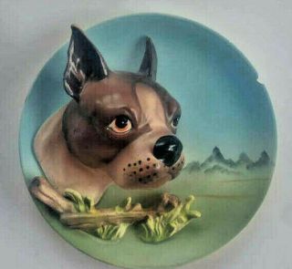 Vintage Boston Bull Dog Terrier Wall Plate Porcelain Painted Detail Estate Find