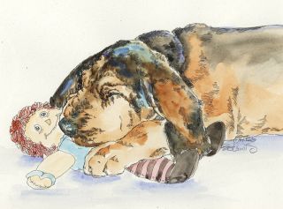 Bloodhound Nap Watercolor On Ink Print Matted 11x14 Ready To Frame