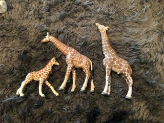 Schleich / Safari Giraffe Family