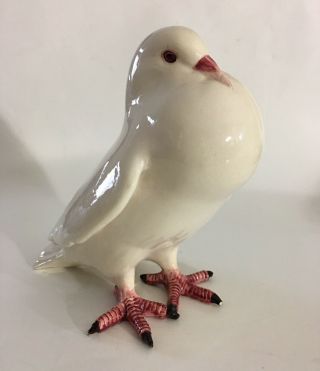 Signed White Dove Pigeon Bird Ceramic Figurine Italy 7.  25 " Tall