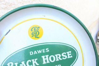 Vintage Dawes Black Horse Ale Beer Porcelain Tray Plate Dish Porter Brewery Sign 2