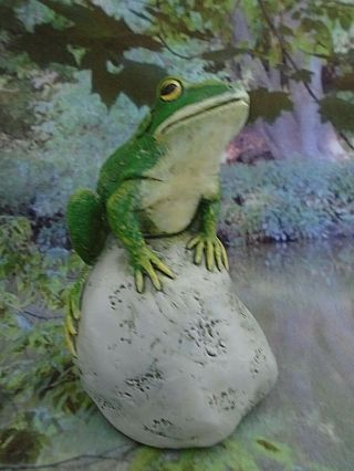 Frog on Rock Home or Garden Resin Figurine 2