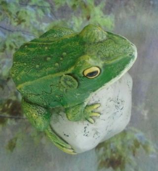 Frog on Rock Home or Garden Resin Figurine 6