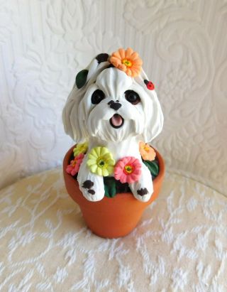 Maltese In The Flower Pot Sculpture Clay By Raquel Thewrc Ooak