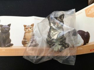 Kitan Club Art In The Pocket Sculpture Of Cat By Mio Hashimoto Brown Tabby Cat