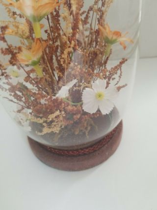 Vintage Real Butterfly Dome Glass Terrarium Display Decor 1970`s 5
