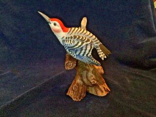 John James Audubon Porcelain Red - Bellied Woodpecker 1983