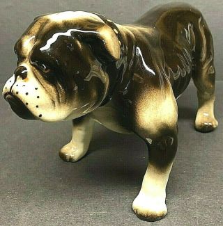 Vintage Ceramic Male English Bulldog W Collar 7 1/2 " Standing Porcelain Figurine