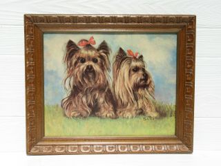 Cute Vintage Yorkshire Terrier Yorkie Litho Print Wooden Picture Frame Silton