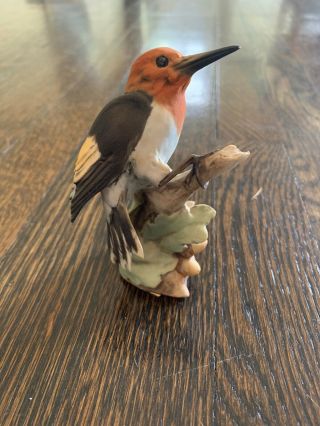 Tay Italy Porcelain Bird - Giuseppe Tagliariol - Red - Headed Woodpecker