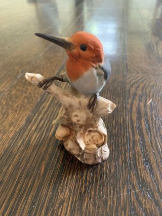 Tay Italy Porcelain Bird - Giuseppe Tagliariol - Red - headed Woodpecker 4