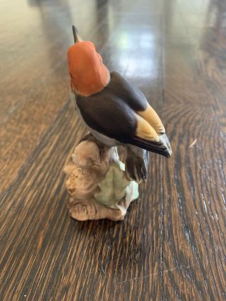 Tay Italy Porcelain Bird - Giuseppe Tagliariol - Red - headed Woodpecker 5
