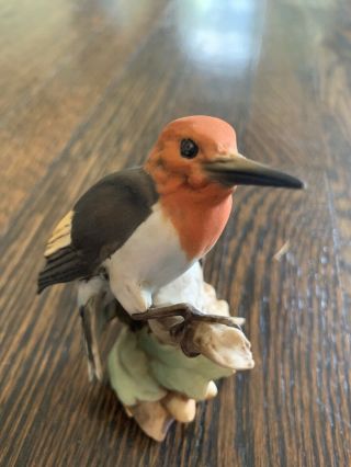 Tay Italy Porcelain Bird - Giuseppe Tagliariol - Red - headed Woodpecker 6
