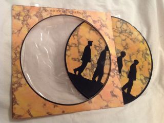 Echo And The Bunnymen Songs To Learn And Sing Lp Picture Disc Vinyl