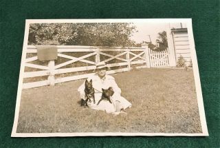 Schipperke Lovely Vintage Dogs With Owner Photo Print From The 1940 