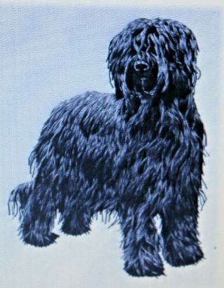 Briard Dog Breed Set Of 2 Hand Towels Embroidered