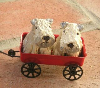 Soft Coated Wheaten Terrier Pair In A Metal Wagon