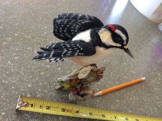 Downy Woodpecker By Country Artists - For The Discerning Incredible Detail