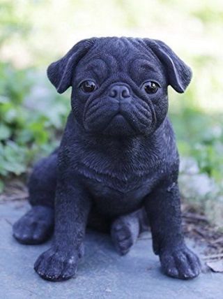 Sitting Black Pug Puppy Dog - Life Like Figurine Statue Home / Garden