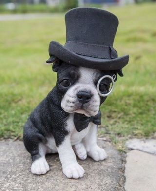Boston Terrier Dog Top Hat Bow Tie Sitting Figurine - Decor Home / Garden