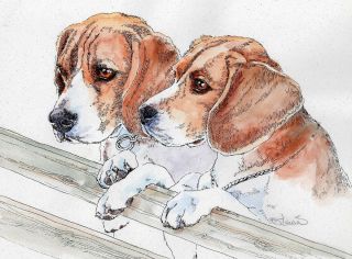 Beagles Watercolor On Ink Print Matted 11x14 Ready To Frame