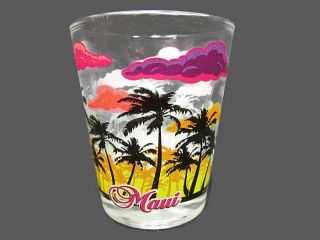 Miami Florida 360 Tropical Beach Theme Standard Shot Glass Collectible Barware