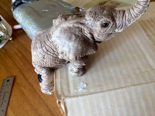 Herd / Martha Carey Marty 3111 Wild Elephant Figurine 4.  5 X 5.  5 "