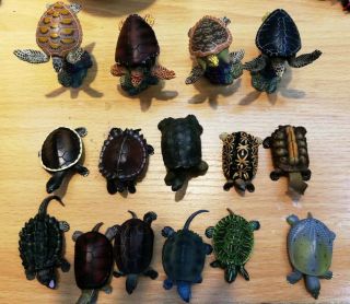 Japan Takara Land Sea Turtle Figure Capsule Encyclopedia Ful Set 15 Cake Topper