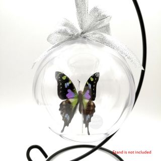 1 Real Graphium Weiskei Butterfly Taxidermy 3d View Xmas Christmas Tree Ornament