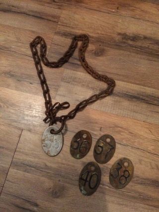 Vintage Livestock Tags Four Brass 36,  37,  38,  40 & One W/ Chain 55 Not Brass 2 " X3 "