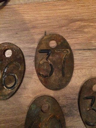 Vintage Livestock Tags four BRASS 36,  37,  38,  40 & one W/ Chain 55 not brass 2 