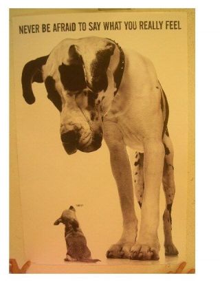 Great Dane And Chihuahua Poster Never Be Afraid To Say What You Really Feel